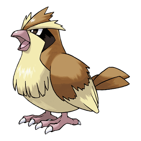 Pidgey