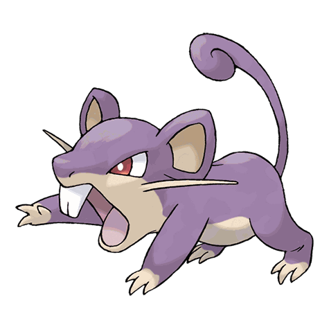 Rattata