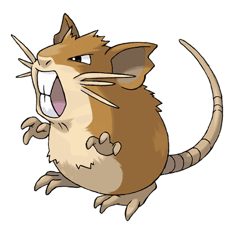 Raticate