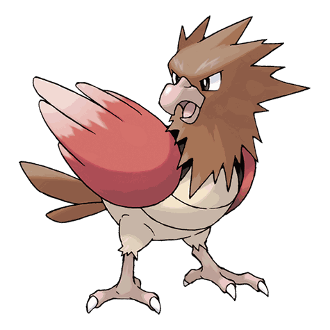Spearow